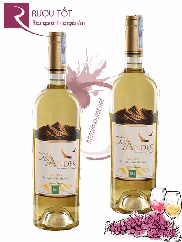 Vang Chile Cas Andes Reserve Sauvignon Blanc Cao cấp