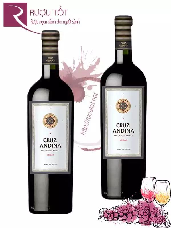 Vang Chile Cruz Andina Merlot Thượng hạng