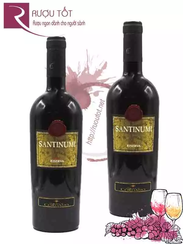 Vang Ý Santinumi Reserva  Montepulciano Abruzzo 98 đểm Cao cấp