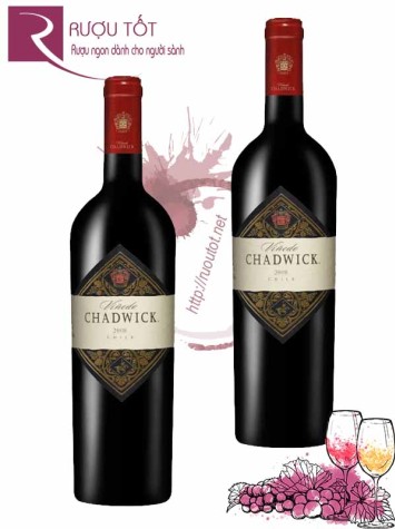 Rượu Vang Vinedo Chadwick Thượng hạng