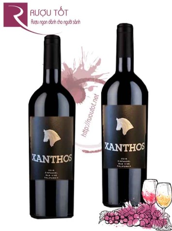 Rượu vang Xanthos Old Vines Zinfandel California Cao cấp