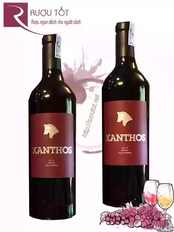 Rượu vang Xanthos Syrah California Cao cấp