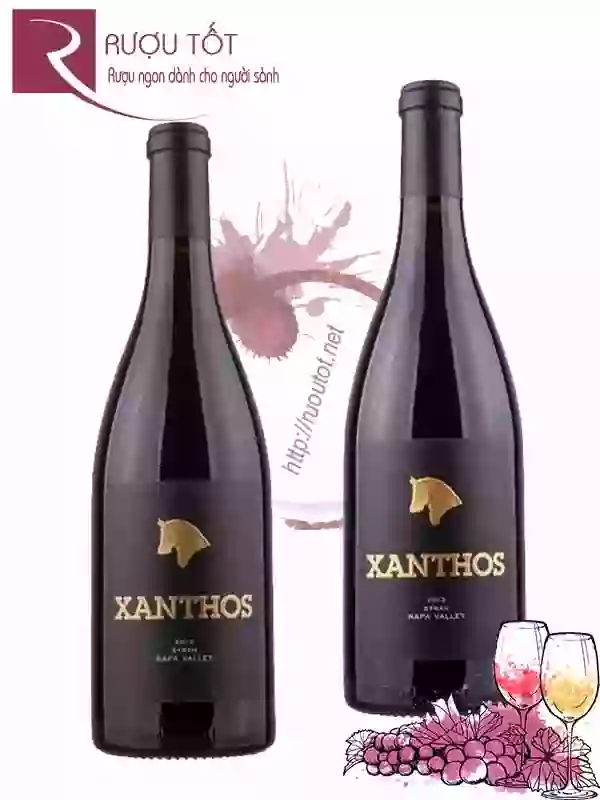 Rượu vang Xanthos Syrah Napa Valley Thượng hạng