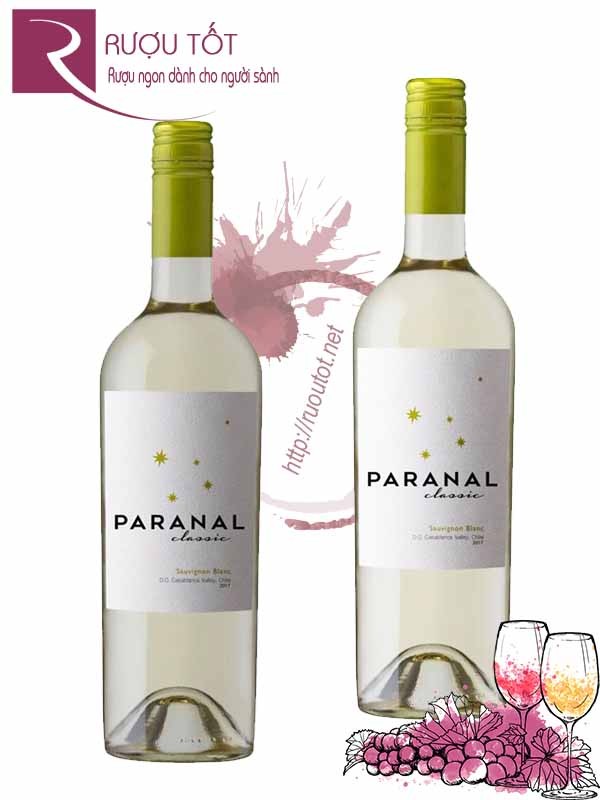 Vang Chile Paranal Classic Sauvignon Blanc cao cấp