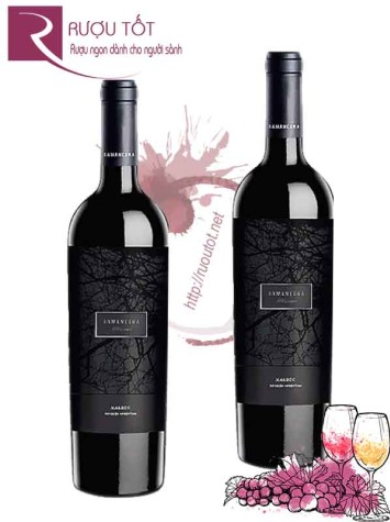 Rượu vang Ramanegra Altisimo Icon Wine Mendoza Hảo hạng