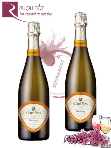 Vang nổ Pháp Cote Mas Chardonnay Blanc De Blanc cao cấp