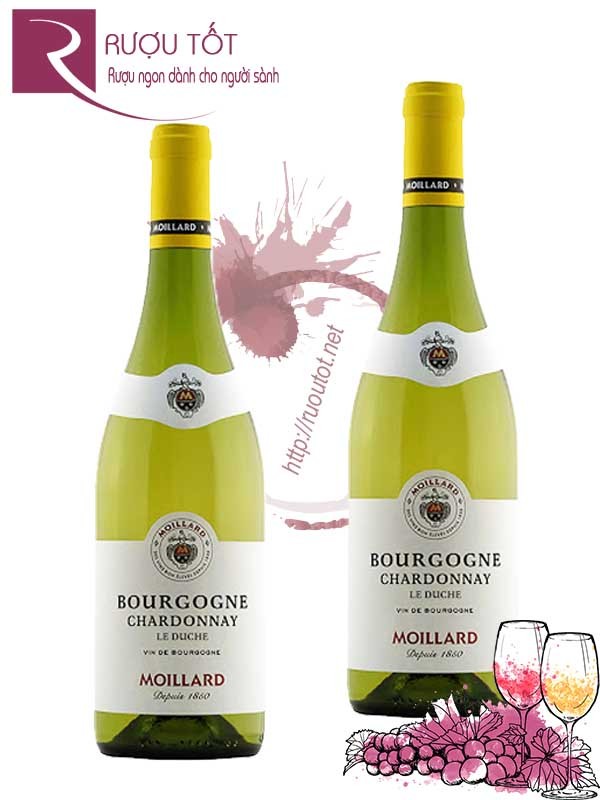 Vang Pháp Bourgogne Chardonnay Moillard Cao cấp