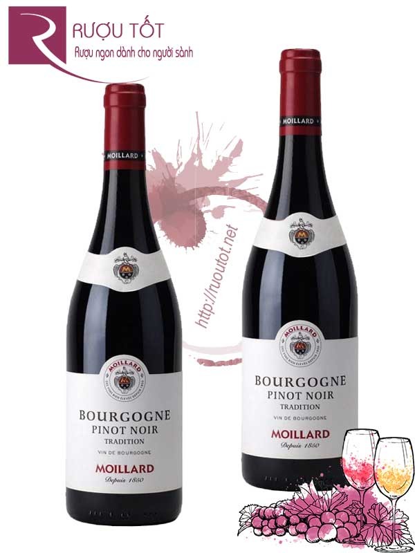 Vang Pháp Bourgogne Pinot Noir Moillard Cao cấp