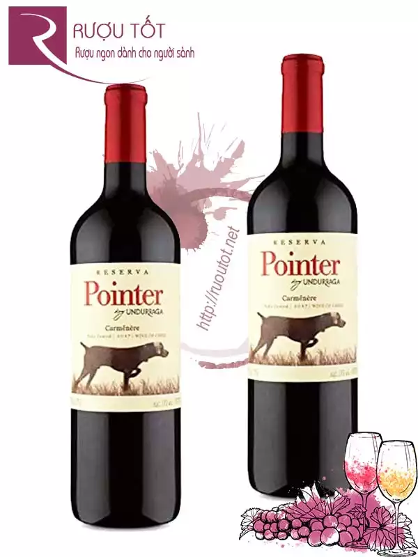 Vang Chile Pointer Undurraga Reserva Carbernet Sauvignon Cao cấp