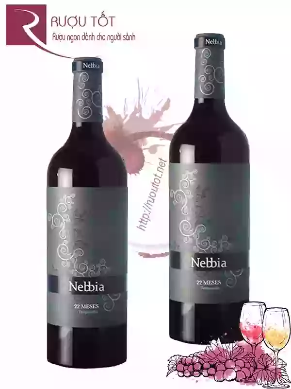 Rượu vang Nebbia 22 Meses Tempranillo Cao cấp