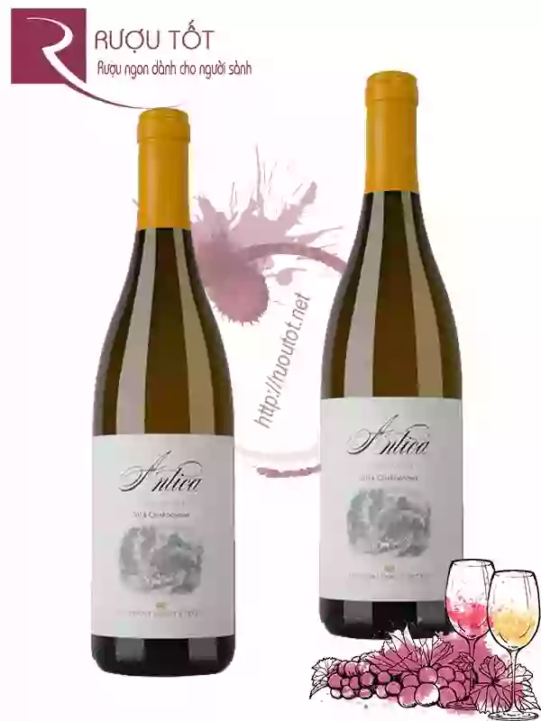 Rượu Vang Antica Antinori Chardonnay Napa Valley Cao cấp