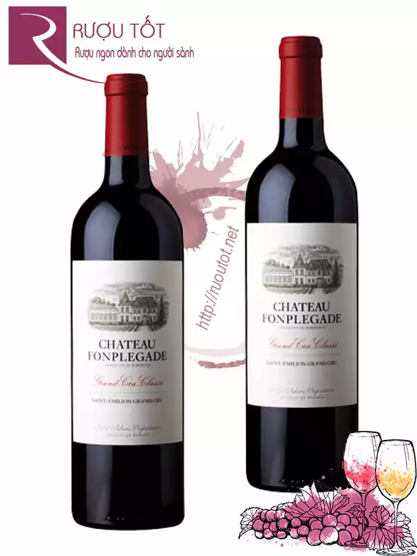 Vang Pháp Chateau Fonplegade Grand Cru Classe 95 điểm Cao cấp