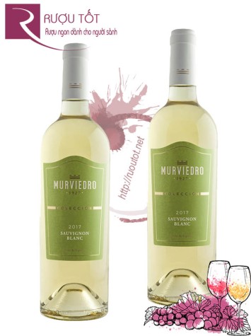 Rượu vang Murviedro Coleccion Sauvignon Blanc Cao cấp