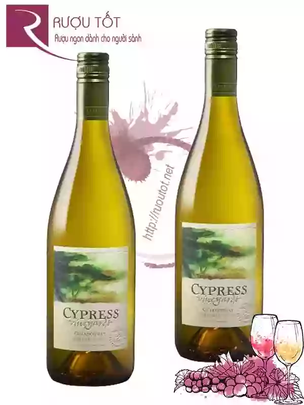Rượu vang Cypress Vineyards Chardonnay Hảo hạng