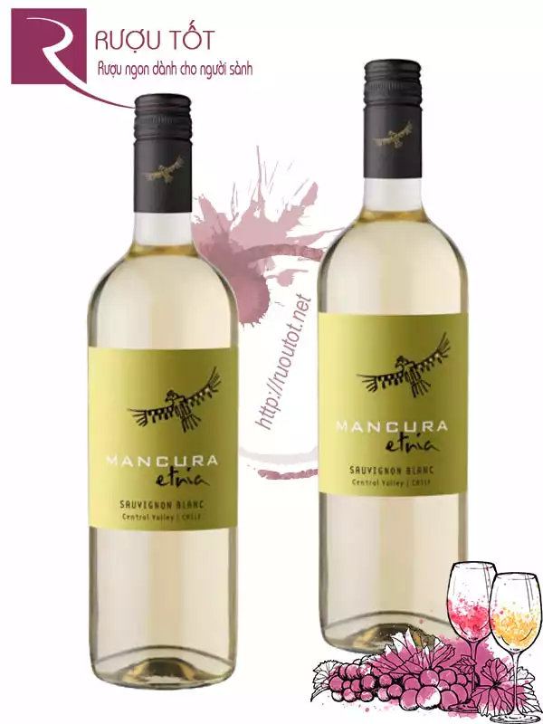 Vang Chile Mancura Etnia Sauvignon Blanc Valle Central Cao cấp