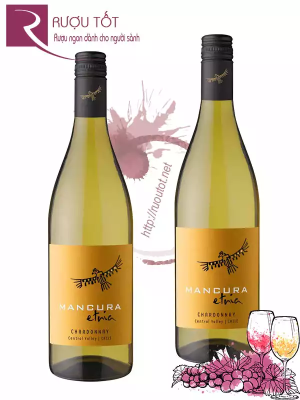 Vang Chile Mancura Etnia Chardonnay Valle Central Cao cấp