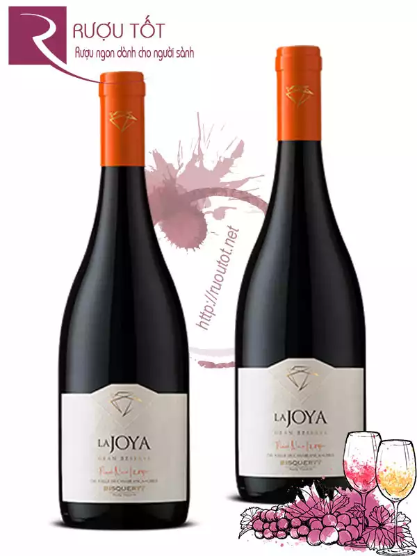 Vang Chile La Joya Gran Reserva Pinot Noir Bisquertt