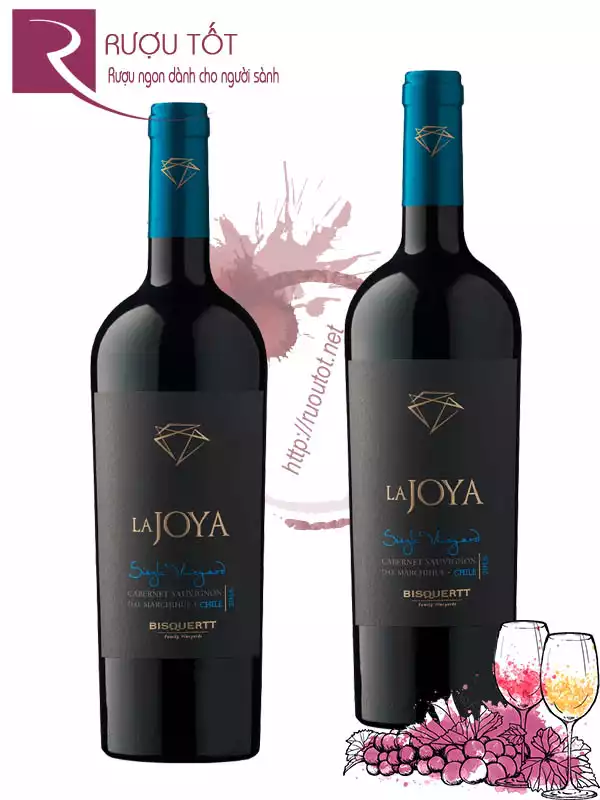 Vang Chile La Joya Single Vineyard Cabernet Sauvignon Bisquertt