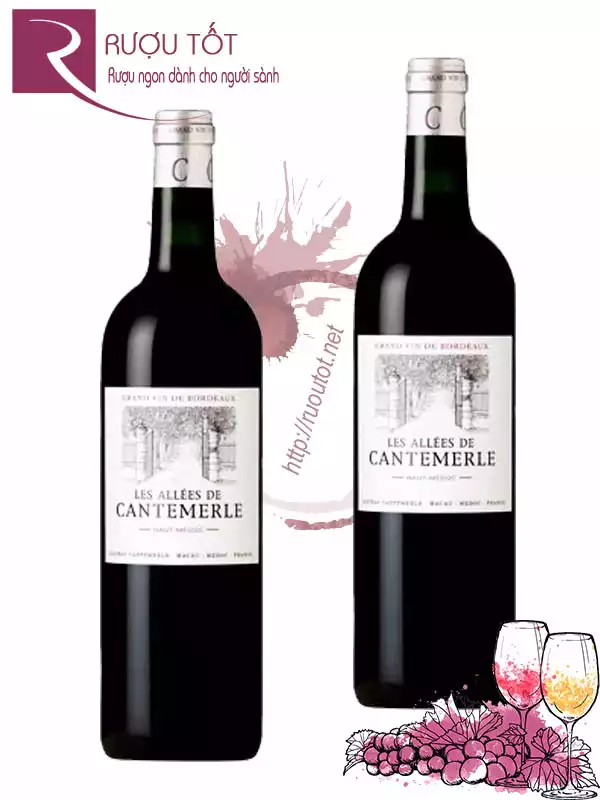 Vang Pháp Les Allees de Cantemerle Haut Medoc Cao cấp