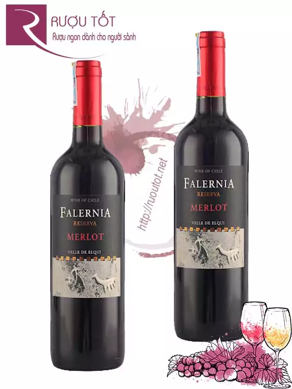 Vang Chile Falernia Merlot Reserva Hảo hạng