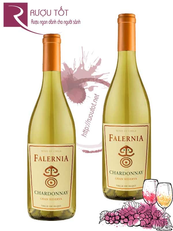 Vang Chile Falernia Chardonnay Gran Reserva Cao cấp