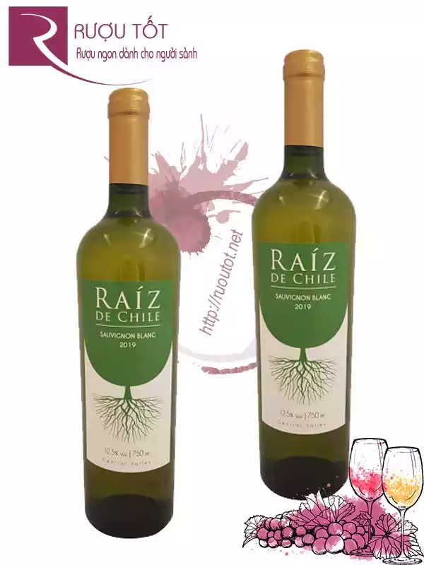 Vang Chile Raiz De Chile Sauvignon Blanc Thượng hạng