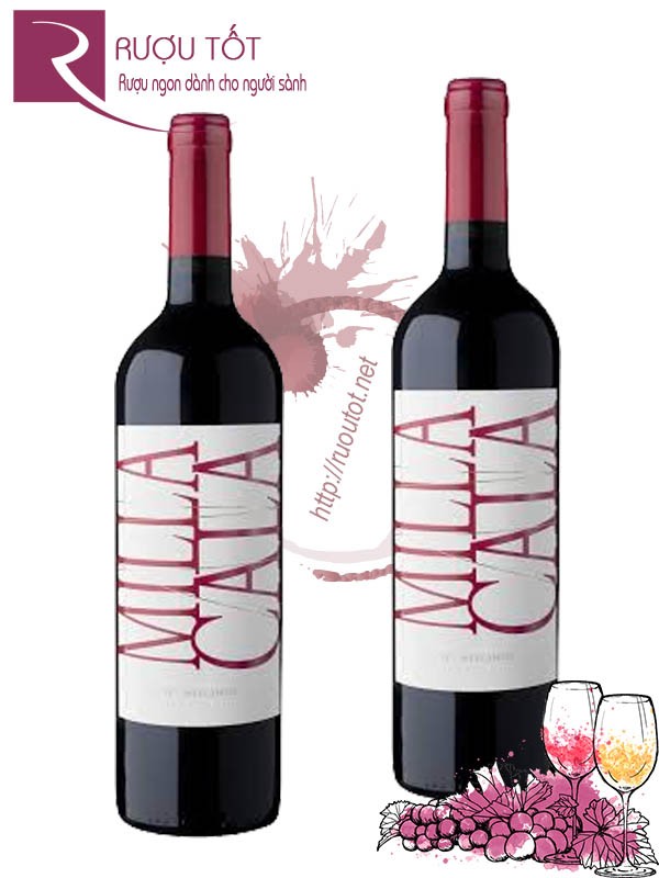 Vang Chile Milla Cala Vik Winery Thượng hạng