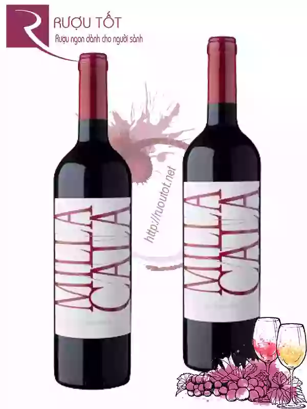 Vang Chile Milla Cala Vik Winery Thượng hạng