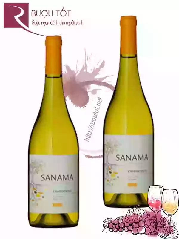 Vang Chile Sanama Chardonnay Cao cấp