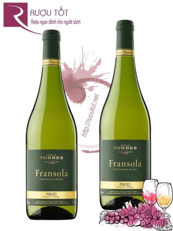 Rượu vang Fransola Single Vineyard Torres Penedes Thượng hạng