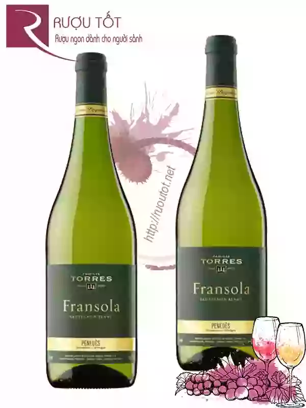 Rượu vang Torres Fransola Single Vineyard Thượng hạng