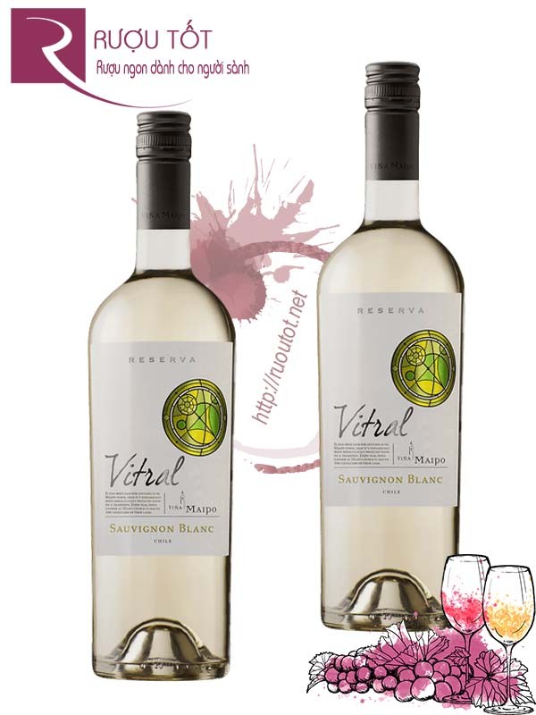 Vang Chile Vitral Vina Maipo Reserva Sauvignon Blanc Thượng hạng