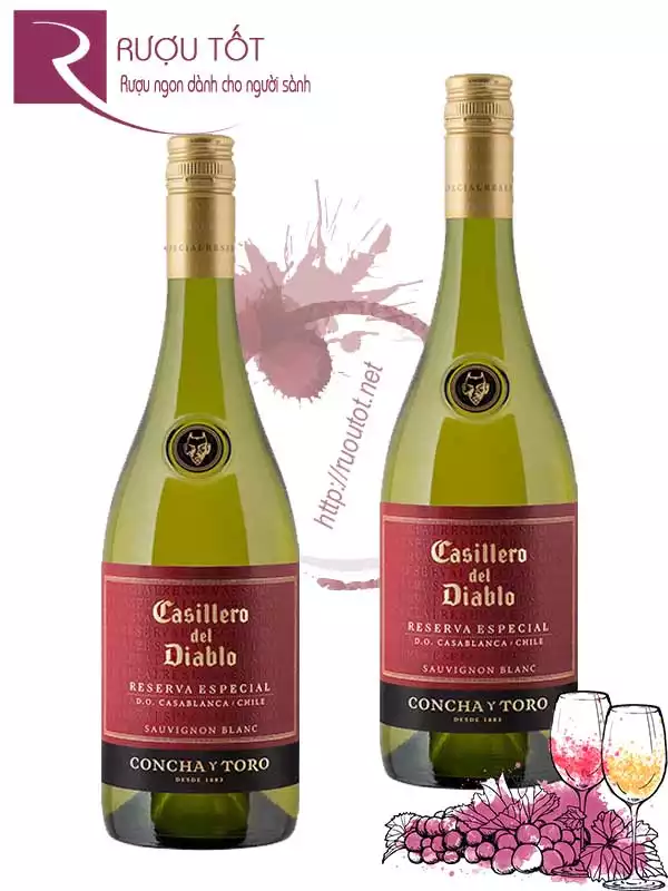 Vang Casillero Del Diablo Reserva Especial Sauvignon Blanc Hảo hạng