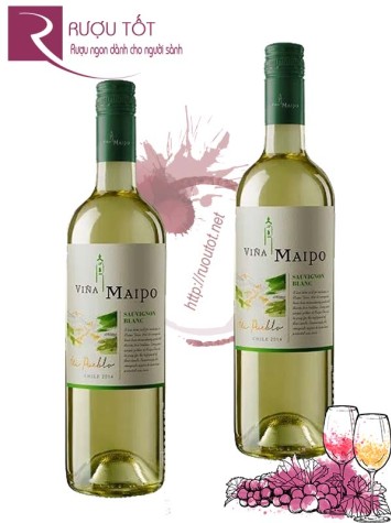 Vang Chile Vina Maipo Mi Pueblo Sauvignon Blanc Hảo hạng