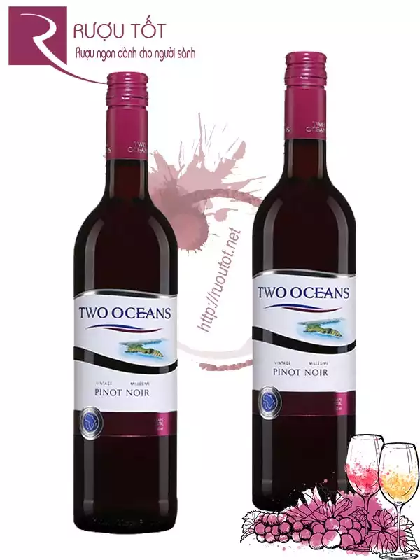 Rượu vang Two Oceans Pinot Noir Cao cấp