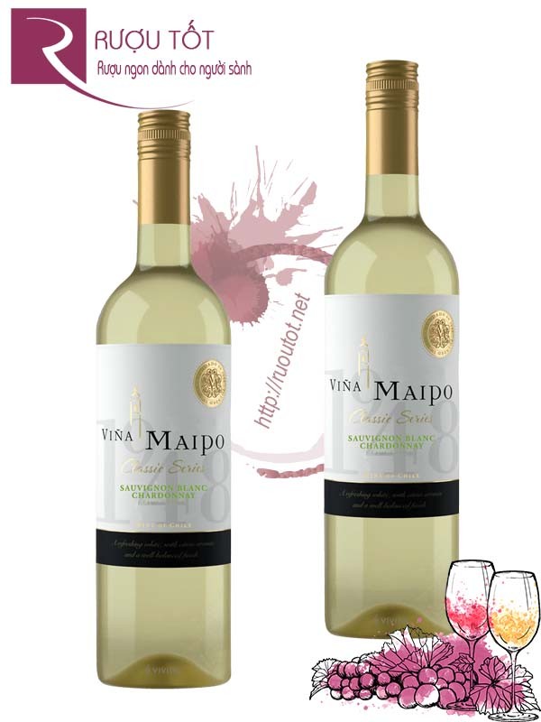 Vang Chile Vina Maipo Classic Series Chardonnay Sauvignon Blanc Cao cấp