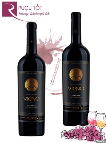 Vang Chile Vigno Carignan Miguel Torres Old Vines Dry Farmed Cao cấp