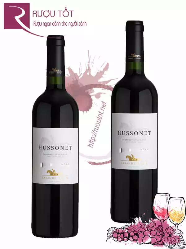 Rượu Vang Hussonet Cabernet Sauvignon Cao cấp