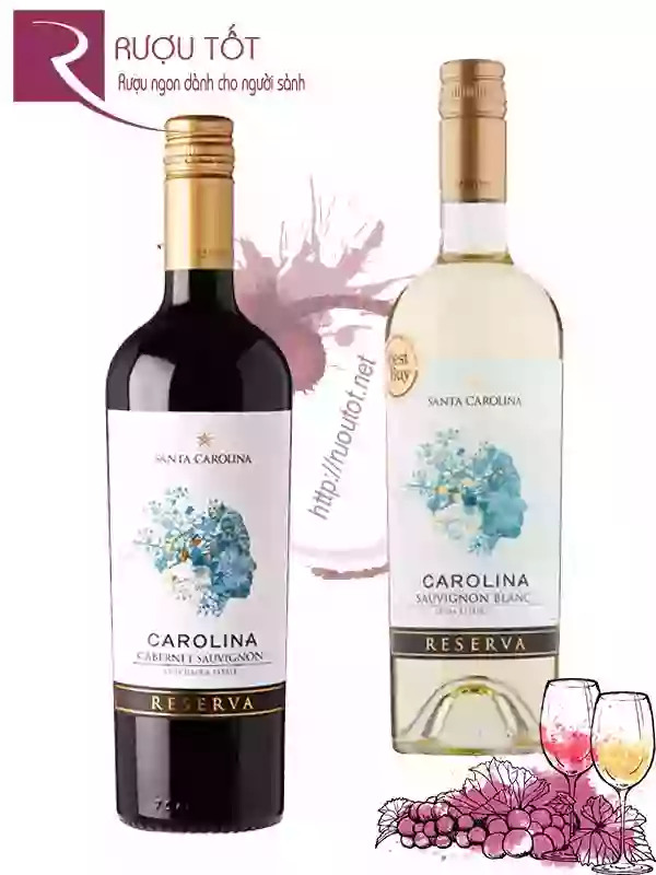 Rượu Vang Santa Carolina Reserva