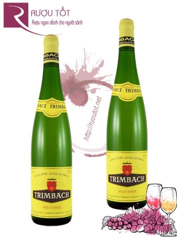 Vang Pháp Trimbach Sylvaner Alsace Hảo hạng