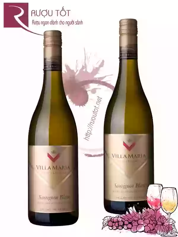 Rượu Vang Villa Maria Sauvignon Blanc Cellar Selection