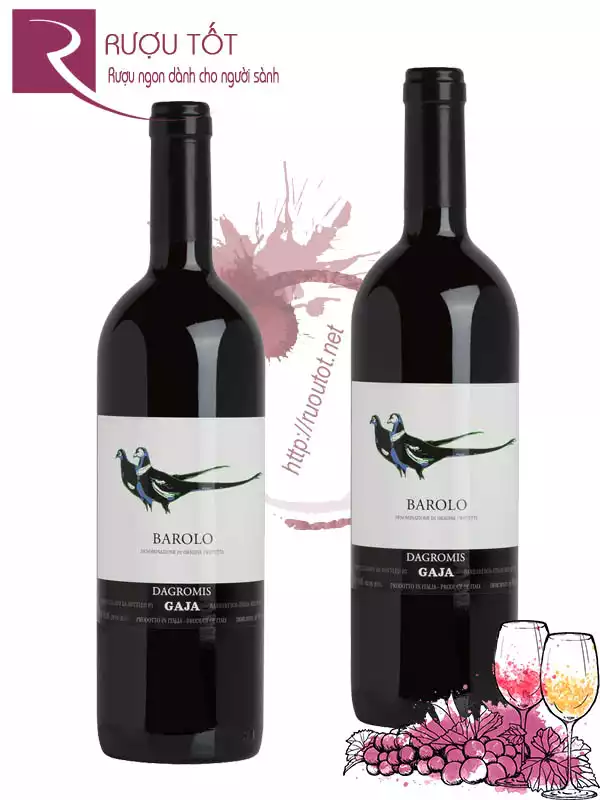 Vang Ý Gaja Barolo Dagromis Chính Hãng