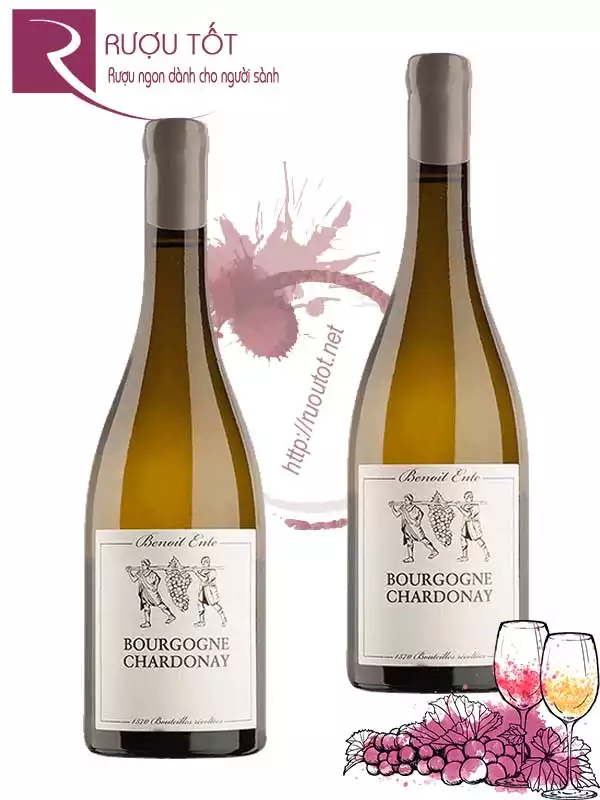 Vang Pháp Bourgogne Chardonnay Benoit Ente