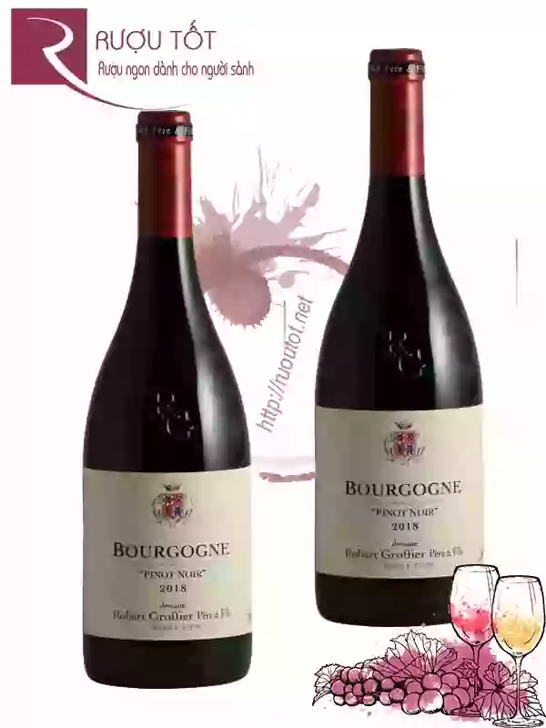 Vang Pháp Pinot Noir Bourgogne Robert Groffier Pere Fils Cao cấp