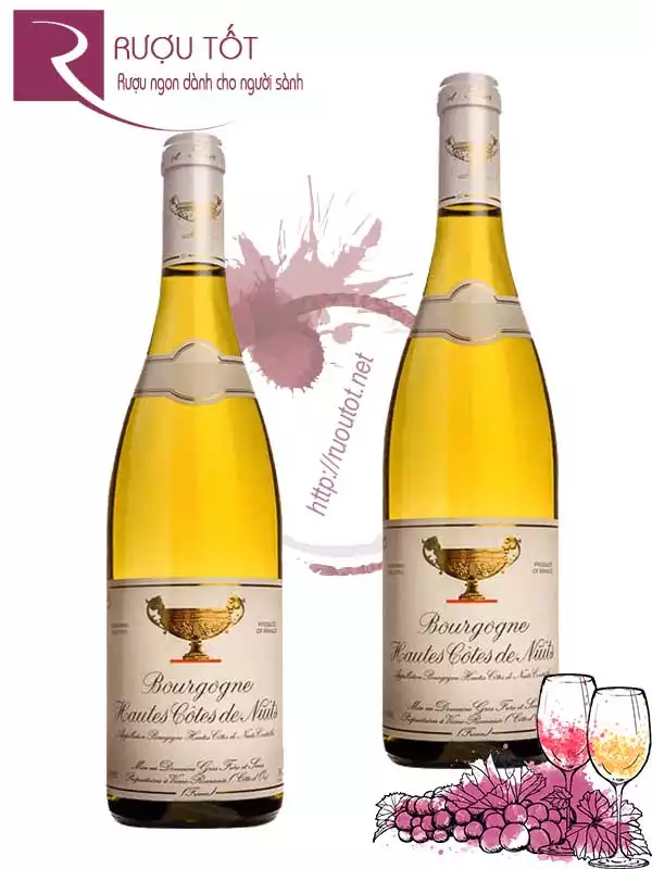 Vang Pháp Bourgogne Hautes Cotes de Nuits trắng Thượng hạng