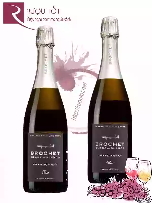 Rượu Vang Nổ Brochet Blanc de Blancs Chardonnay Brut