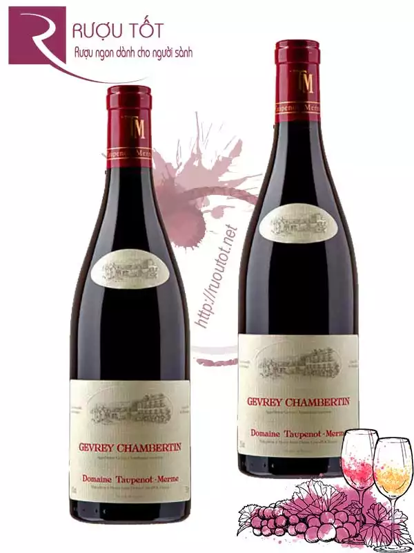 Vang Pháp Domaine Taupenot Merme Gevrey Chambertin Hảo hạng