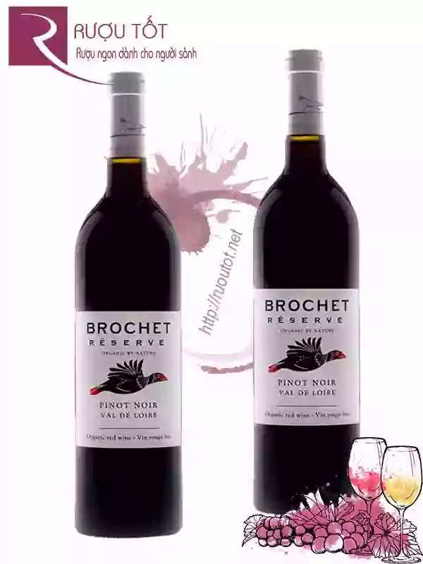 Vang Pháp Brochet Reserve Pinot Noir