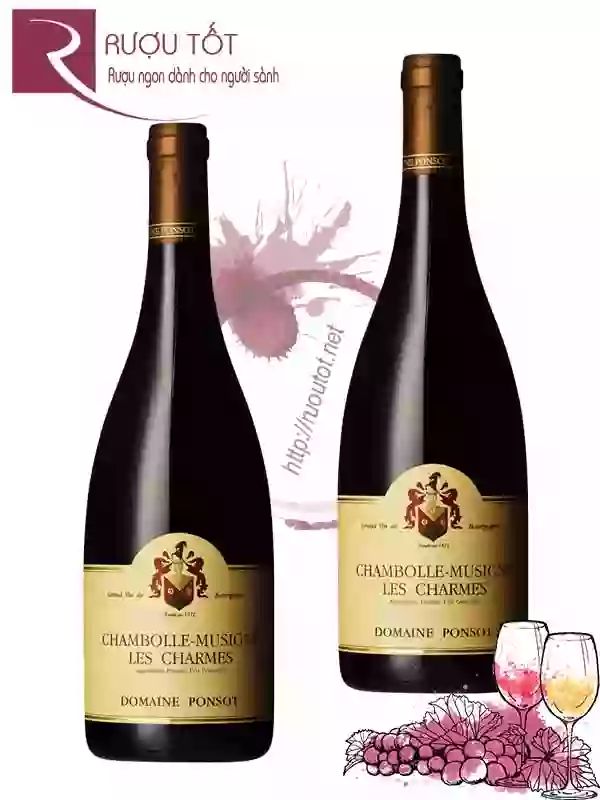 Vang Pháp Chambolle Musigny Les Charmes Domaine Ponsot Cao cấp