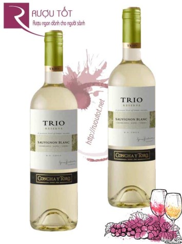 Vang Chile Trio Sauvignon Blanc Concha Y Toro Thượng hạng
